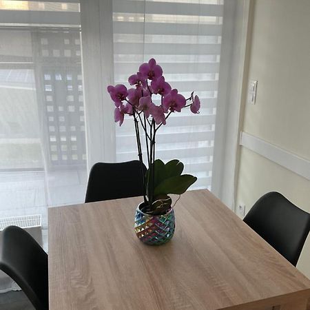 Apartament „Dwie Wieze” Apartment Katowice Ngoại thất bức ảnh